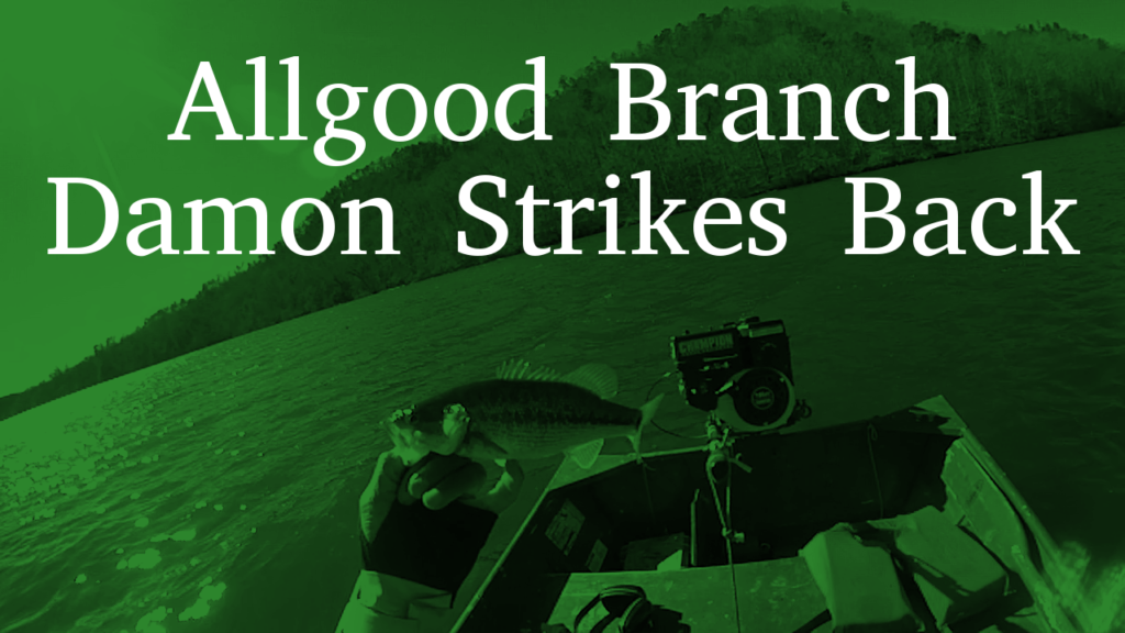 Allgood Branch | Damon Strikes Back!