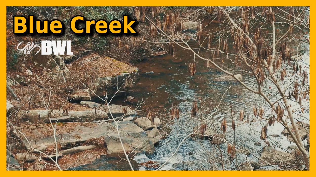 The River Explorer, Ep. 1 Blue Creek